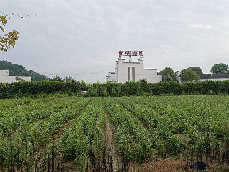 （破產(chǎn)拍賣）湖南棕櫚潯龍河生態(tài)城鎮(zhèn)發(fā)展有限公司名下“科普基地”項目房地產(chǎn)